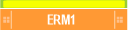 ERM1