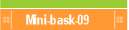 Mini-bask-09